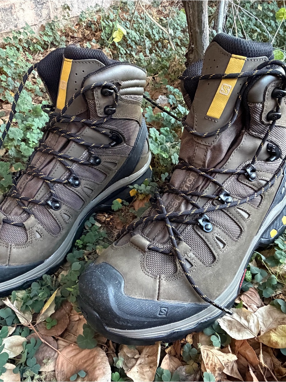 Quest 4D 3 GTX Salomon Men's Brown Hiking Boots with Yellow Tabs